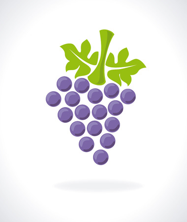 wine design over white  background vector illustration のイラスト素材