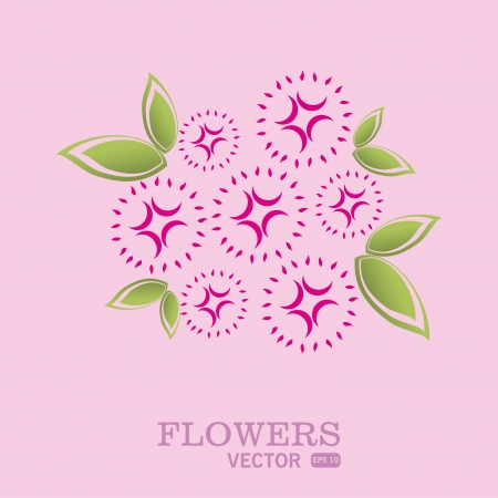 flowers design over pink background vector illustration  のイラスト素材