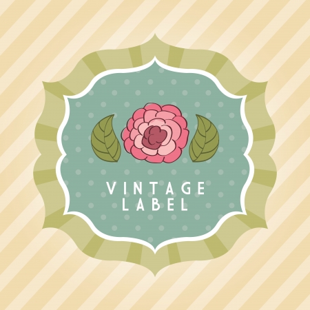 flowers design over lineal background vector illustration  のイラスト素材