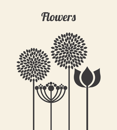 flowers design over  white  background vector illustration  のイラスト素材