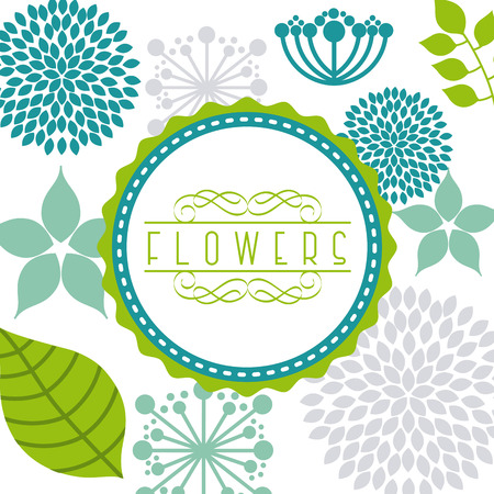 flowers design over white   background vector illustration  のイラスト素材
