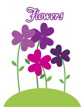 flowers purple design over white background vector illustration のイラスト素材