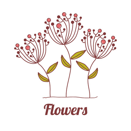 flowers design over  white  background vector illustration  のイラスト素材