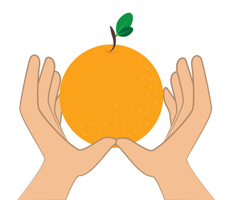 Fruits design over white background, vector illustrationのイラスト素材