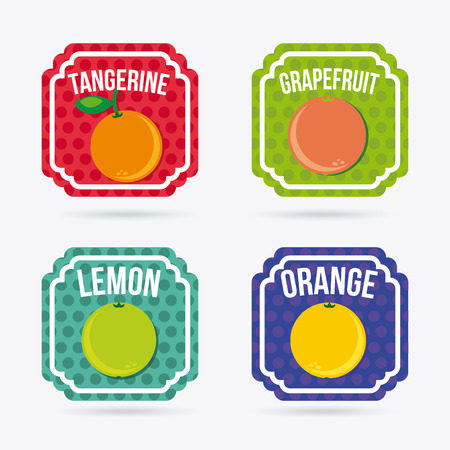 Fruits design over white background, vector illustrationのイラスト素材