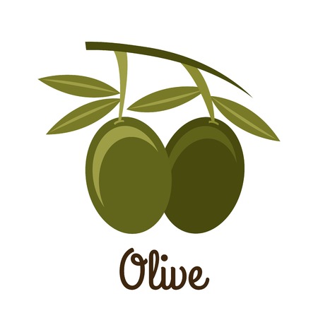 Olives design over white background, vector illustrationのイラスト素材
