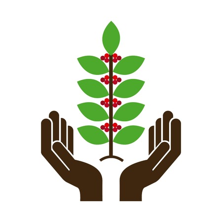 Coffee design over white background, vector illustrationのイラスト素材