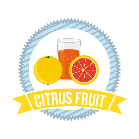 fruits design over white background vector illustrationのイラスト素材