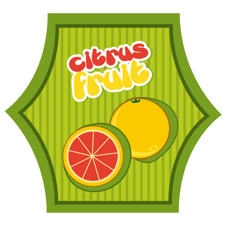 fruits design over white background vector illustrationのイラスト素材