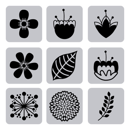 flowers design over white background vector illustrationのイラスト素材