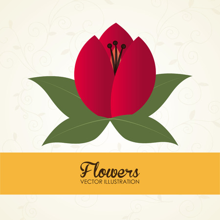 Flowers design over beige background, vector illustrationのイラスト素材