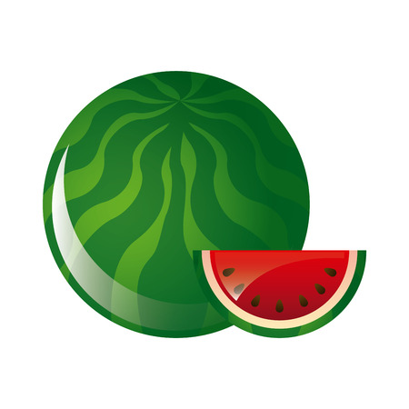 watermelon fruit design over white background illustrationのイラスト素材