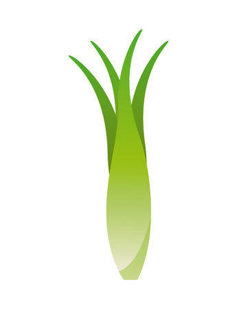 organic product over white background illustrationのイラスト素材