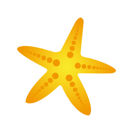 starfish design over white background illustrationのイラスト素材