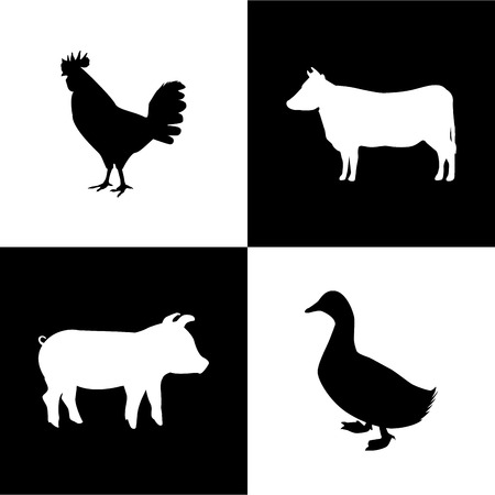 farm animals design over white background illustrationのイラスト素材