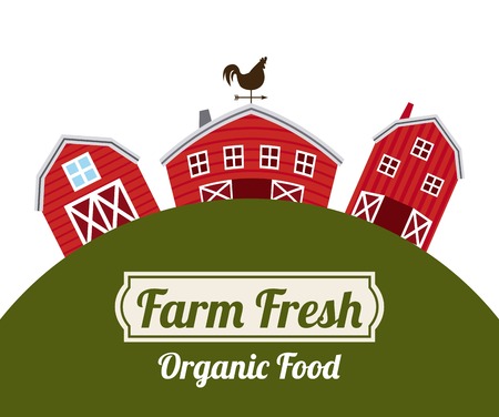 farm fresh design over white background vector illustrationのイラスト素材