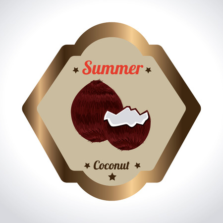 Fruits design over white background, vector illustrationのイラスト素材