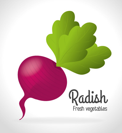 Food design over white background, vector illustrationのイラスト素材