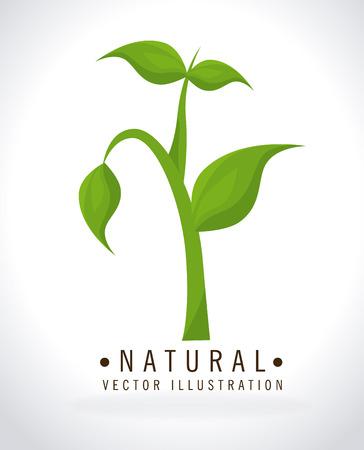 Ecology design over white background, vector illustrationのイラスト素材
