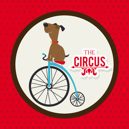 Circus design over red background, vector illustrationのイラスト素材