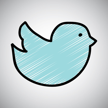 bird graphic design , vector illustrationのイラスト素材