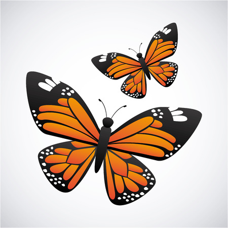 butterfly graphic design , vector illustrationのイラスト素材