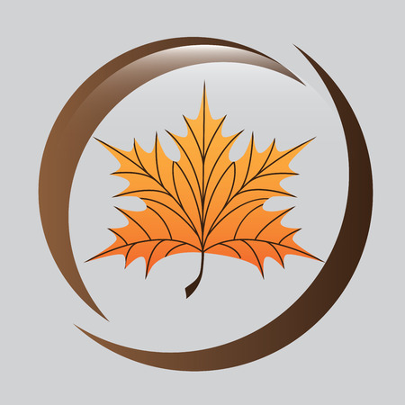 floral graphic design , vector illustrationのイラスト素材