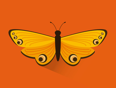 butterfly graphic design , vector illustrationのイラスト素材