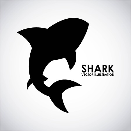 shark graphic design , vector illustrationのイラスト素材