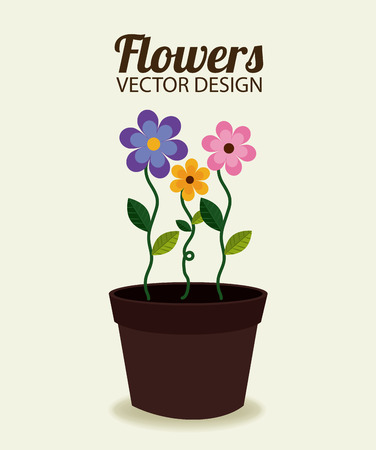 Flowers design over beige background, vector illustrationのイラスト素材