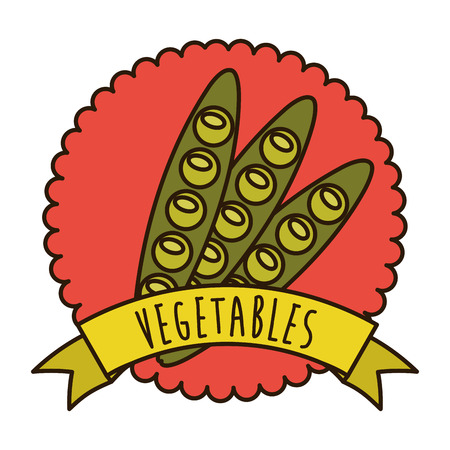 vegetables graphic design , vector illustrationのイラスト素材