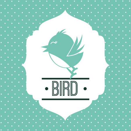 bird graphic design , vector illustrationのイラスト素材