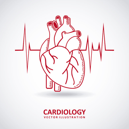 cardiology graphic design , vector illustrationのイラスト素材