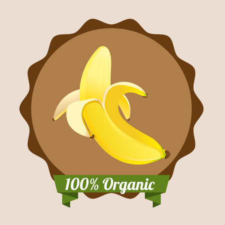 organic healthy food design , vector illustrationのイラスト素材