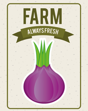 vegetables design , vector illustrationのイラスト素材