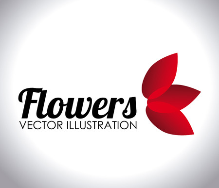 Flowers design over white background, vector illustration.のイラスト素材