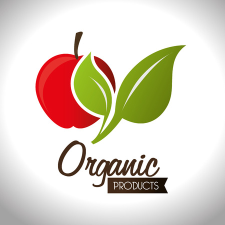 Food design over white background,vector illustration.のイラスト素材