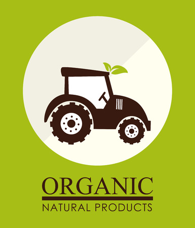 Food design over green background, vector illustration.のイラスト素材