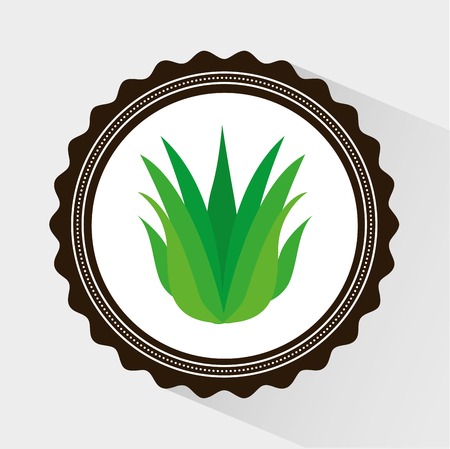 leafs icon design, vector illustration eps10 graphicのイラスト素材