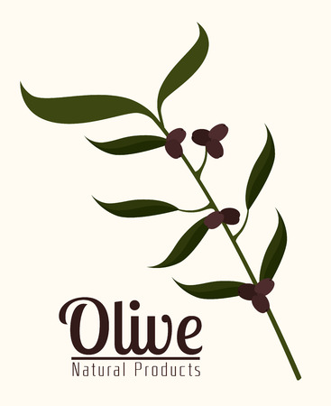 Olive oil over white background, vector illustration.のイラスト素材
