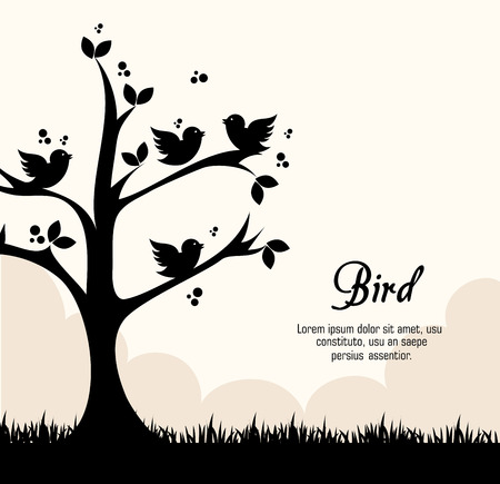 Bird design over white background, vector illustration.のイラスト素材