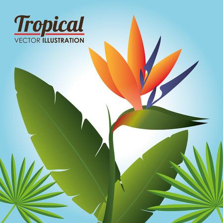 Flowers design over blue background, vector illustration.のイラスト素材