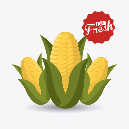 farm fresh design, vector illustration  graphicのイラスト素材