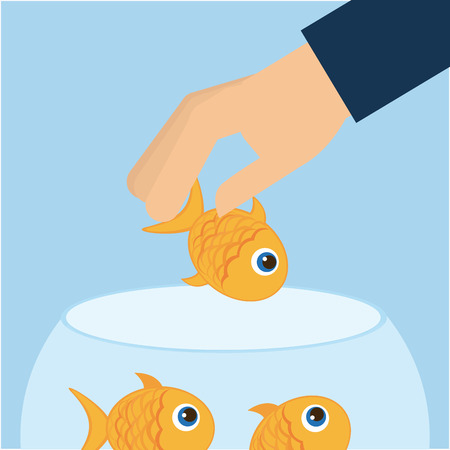 fish aquarium design, vector illustrationのイラスト素材