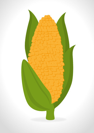 Food design over white background, vector illustration.のイラスト素材