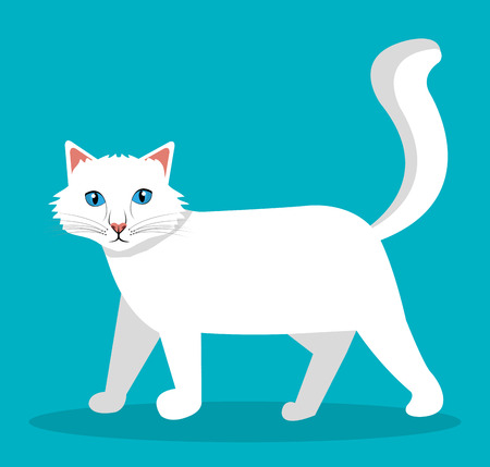 Pet design over white background, vector illustration.のイラスト素材