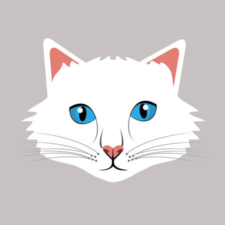 Pet design over white background, vector illustration.のイラスト素材