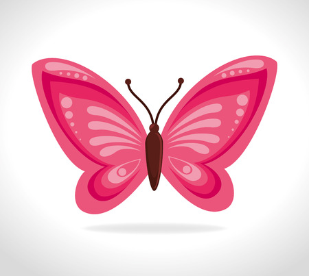 Butterfly design over white background, vector illustration.のイラスト素材