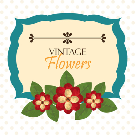 Flowers design over white background, vector illustration.のイラスト素材