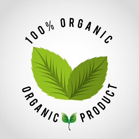 organic product design, vector illustration のイラスト素材